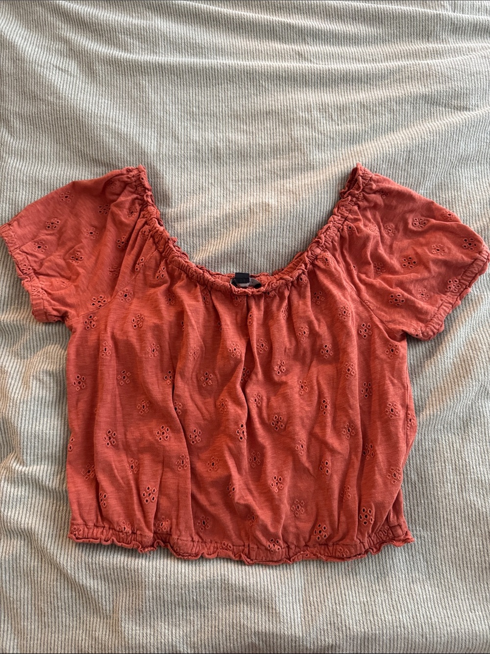 American Eagle Flower Eyelet Off-Shoulder Top